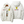 Sportjacke “Rennstall” – Wasserdicht